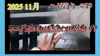 2025年【ハゼ釣り#59】11月5日‗11月突入！大好きなあのポイントで釣ってみたら＆おまけ‗釣果情報
