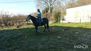 Equifeel virtuel Caval Go 2026 - Mont&eacute;e 2 - Aur&eacute;lie Morisseau et Katiuska de Tr&eacute;lan 