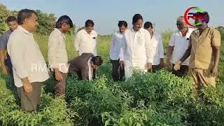 దెబ్బతిన్న పంట పొలాలు,రహదారులను పరిశీలిస్తున్న ఎమ్మెల్యే.. #jaggayyapeta #cropfields #monthacyclone