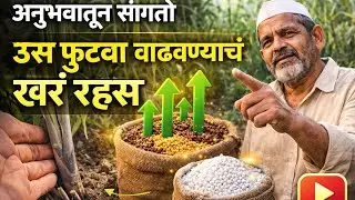 अनुभवातून सांगतो: ऊस फुटवा वाढवण्याचं खरं रहस्य #86032 #आडसाली