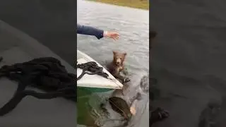 Держись малыш я с тобой