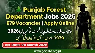 Forest Rangers Submit Problem Solved | Punjab Jobs Portal #forest #punjabjobportal