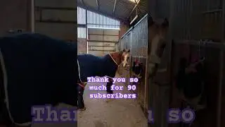 Thank you so much xx💕 #harlowandpopcorn #thisesme #horseenthusiast #ponymad #horsegirl