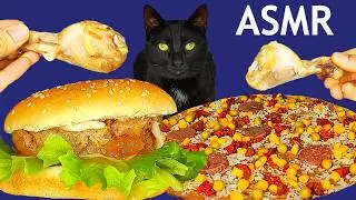 ASMR Mukbang | Cat Eating Burger, Pizza and Chicken