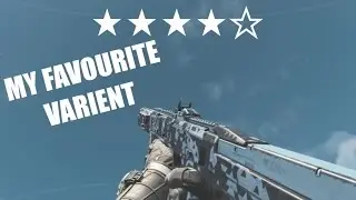 Type 2 Impulse - Variant Review