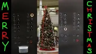 Otis Lexan Traction Elevators at 24 Greenway Plaza in Houston, TX. shot on 4K Handycam