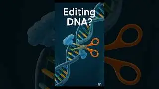 How CRISPR is editing human DNA
