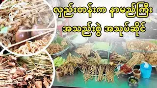 Trying Hledan&rsquo;s Most Famous Salad | Yangon Food Vlog လှည်းတန်းက နာမည်ကြီး အသည်းစွဲ အသုပ်ဆိုင်