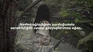 Nanoka Hara - Suzume (Türkçe Çeviri) | Suzume no Tojimari Ost