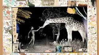 Peter Beard audioclip 2012. Part #2.