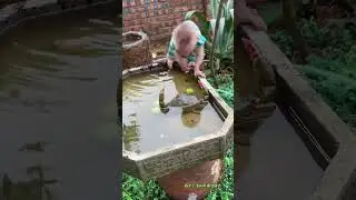 The Cutest Duo You&rsquo;ll See Today 🐒❤️ #shorts #viral