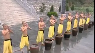 Kung Fu  Die Kampfkunst Der Shaolin