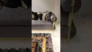 Luxurious light gray salon #video #viral#design #home ✨🏠🔥💯