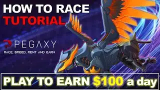 How to make $100 a week Racing in Pegaxy (Step by Step Tutorial)