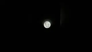 The Truth is out There #ufo #alien #moon