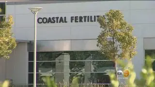 Couple Sues Fertility Clinic