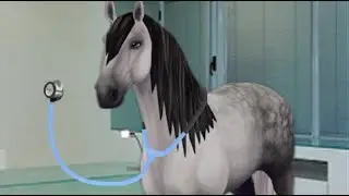 lekarz