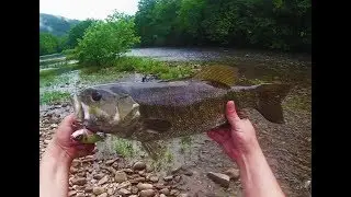 Whopper Plopper 110 Lands Trophy Smallmouth Bass