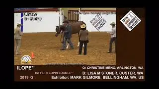 2020 APHA World Championship Show - NSBA Open Yearling Longe Line: iLOPE