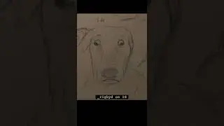 Belle drawings! #shorts #fanart #fypシ #fyp #dog #bellebows #cute #pets #belle #dogs #memes #silly