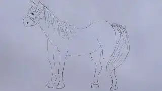 How To Draw A Horse | Step By Step | Horse Drawing | Tutorial 35
