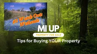 Michigan Buying Land Tips: #2 Wetlands