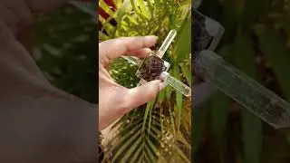 Orgone Amethyst Pyramid with Crystal 4 Point Generator. #orgone #generator #crystals #handmade