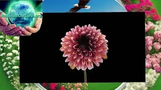New Year 2026: Building a Sustainable Future Through Ecological Wisdom and Daily Choices 🌱🌍♻️