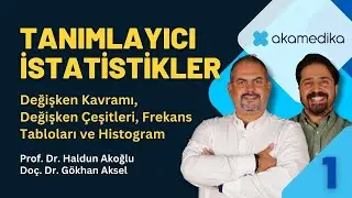 Tanımlayıcı İstatistikler - 1: Değişken Kavramı, Değişken Çeşitleri, Frekans Tabloları ve Histogram