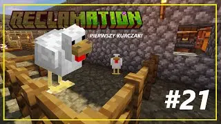 Minecraft Reclamation [#21] | PIERWSZY KURCZAK! #minecraft #tuorek #minecraftmodpack
