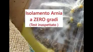 Arnia a ZERO gradi ( test inaspettato a Novembre)
