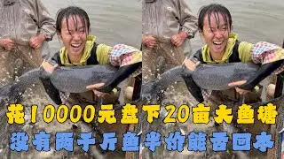 幺妹花10000元盘下20亩大鱼塘，没有两千斤鱼只要半价能否回本？