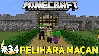 MENANGGKAP MACAN DI MINECRAFT - SURVIVAL MOD #34