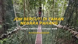 Apa yang best di Taman Negara Pahang ? - World's Oldest Jungle - Malaysia