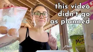 Day 20: picnic + beach + mild walmart fail
