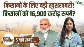 Kisan Express | किसानों के लिए बड़ी खुशखबरी! धान रिकॉर्ड, सिंचाई मंजूर, तेल कंपनियों पर एक्शन!
