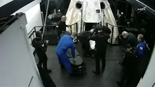 Crew-11 astronauts removed from their SpaceX capsule
