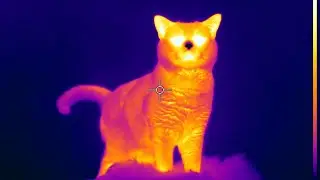 FLIR T1020 - Perfect sensitivity and HD IR resolution / Puikus jautrumas ir HD termo rai&scaron;ka