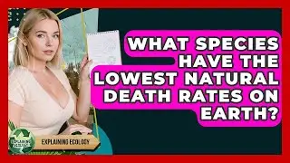 What Species Have The Lowest Natural Death Rates On Earth? - Explaining Ecology