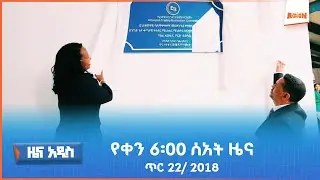 AMN - ጥር 22/2018 ዓ.ም የቀን 6፡00 ዜና