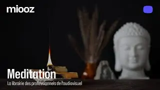 🌿 Musique de Méditation – Énergie Positive, Bonnes Vibrations & Musique de Guérison 🧘‍♀️
