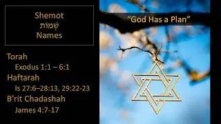 Tree Of Life Houston Messianic Congregation Shabbat Service