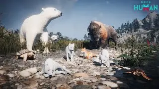 Once human BEST New Farm Spots! Polar Bear, Snow Fox & MORE! Way OF Winter 