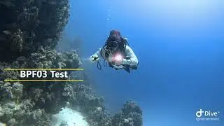 BPF03 Divelight test