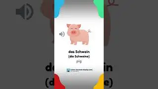 Meet German Farm Animals!