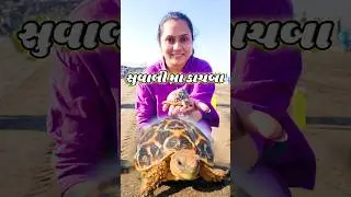 mini vlog in Gujarati | Trending reels | Lifestyle | Full video on YouTube #minivlog #gujarati