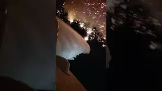 Scenes from the Palisades Fire