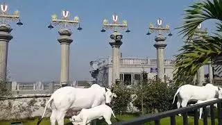 Swarnagiri Sree Venkateswara Swamy Devasthanam Bhuvanagiri,(Mysuru to Hydarabad telangana)