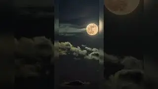 Beautiful Relaxing • Peaceful Piano Music & Guitar Music | The Dark Skies prod. by Basit Nadeem