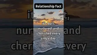 #LoveSearchJourney: True love is not found... #shorts